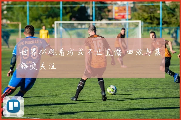 世界杯观看方式不止直播 回放与集锦受关注