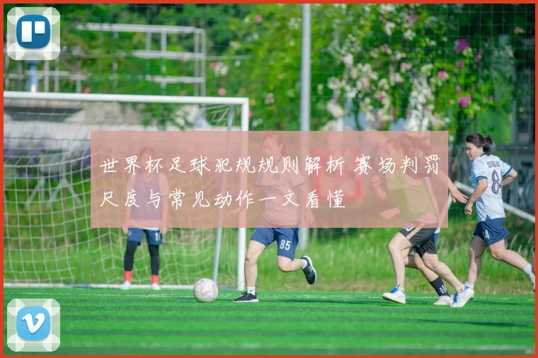 世界杯足球犯规规则解析 赛场判罚尺度与常见动作一文看懂