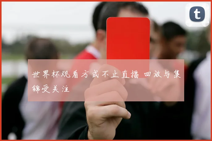 世界杯观看方式不止直播 回放与集锦受关注