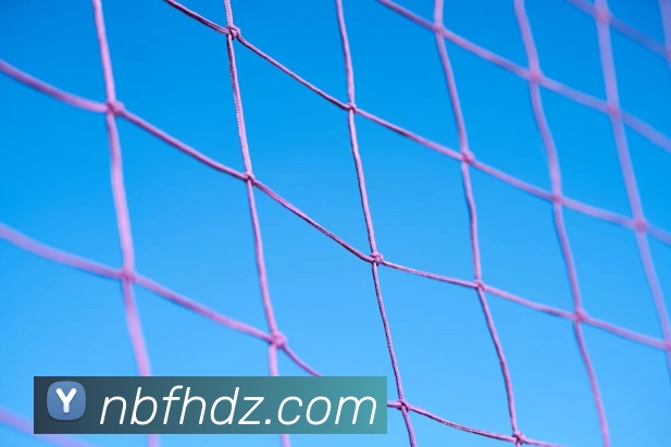 开云手机在线登陆入口品牌故事