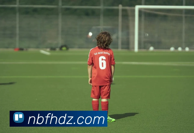 开云手机在线登陆入口服务体系