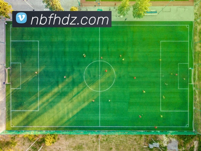 开云手机在线登陆入口APP 封面图